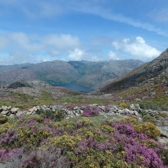 KEEN TOURS