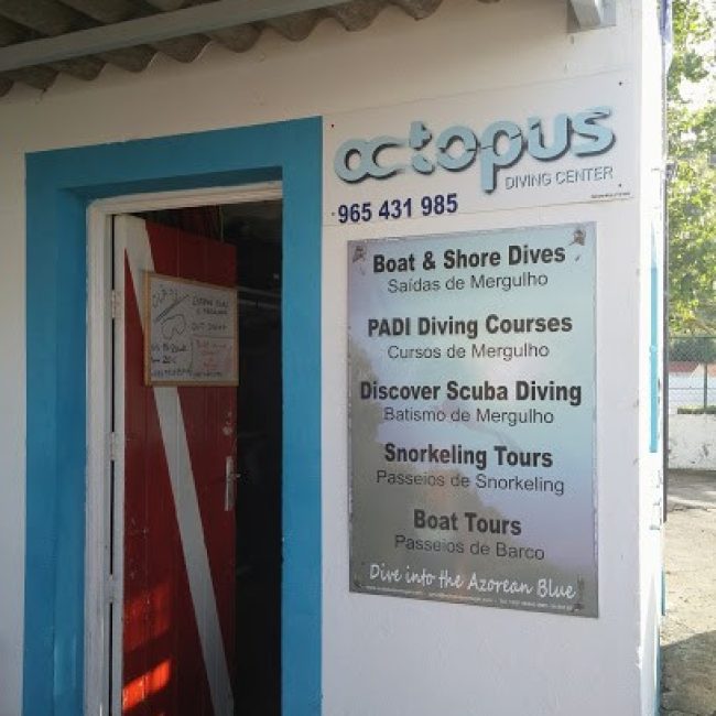 OCTOPUS DIVING CENTER