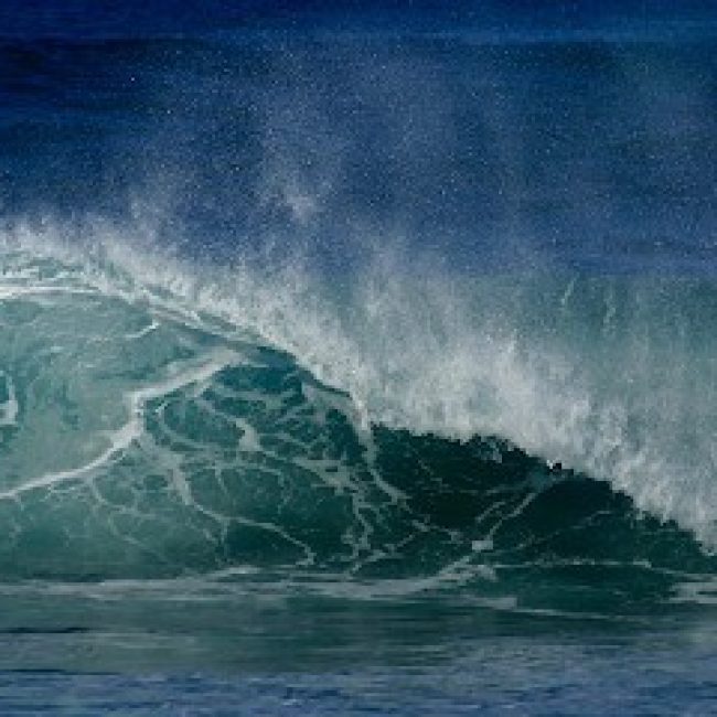 SANTA CRUZ SURF LODGE LDA