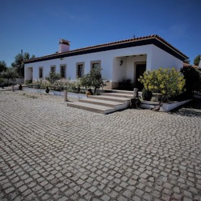 A PALHOTA