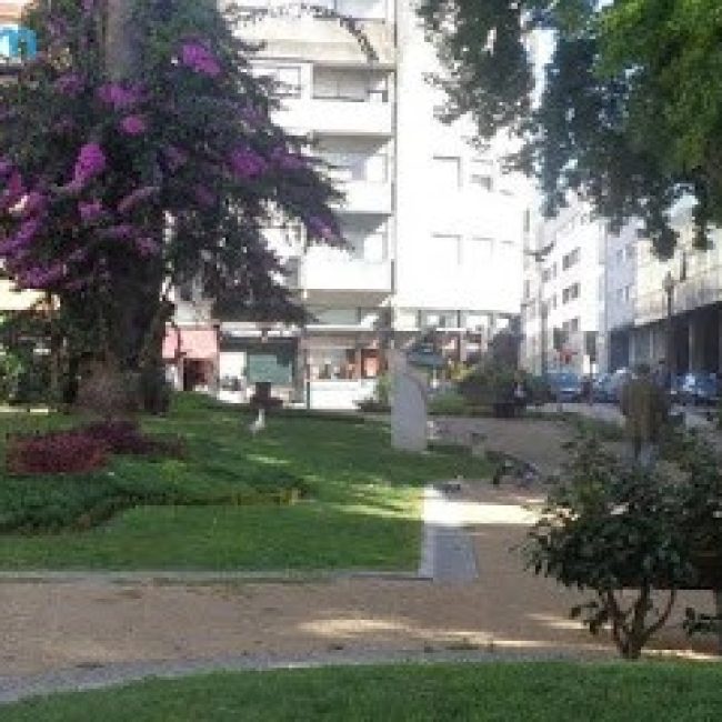 PORTUENSE ALOJAMIENTO LOCAL