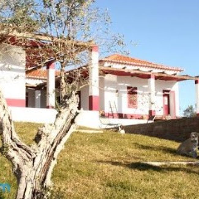 MONTE DA COELHA – ALOJAMENTO LOCAL