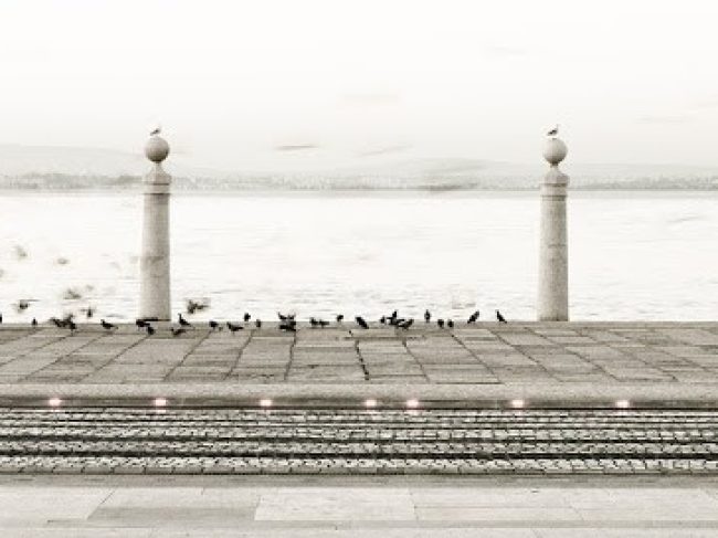 PICOTO PARK