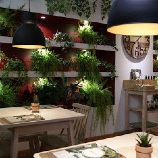 GREENWISH – HEALTHY FOOD & BAR