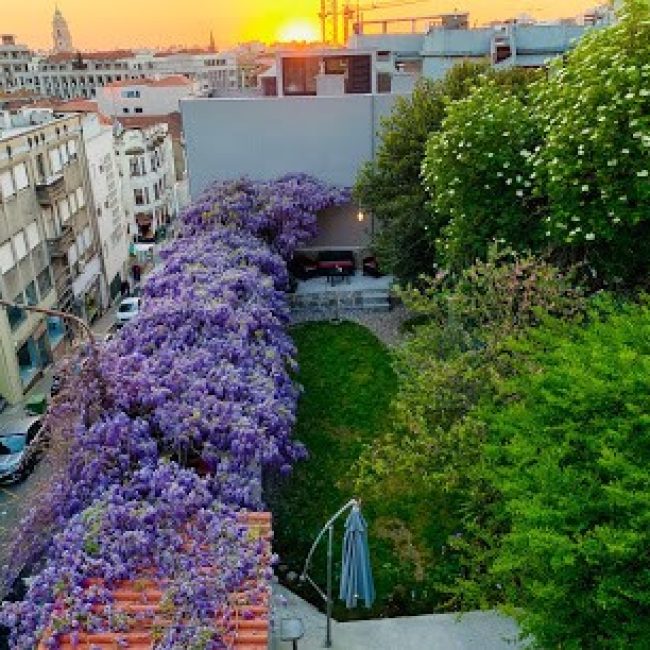 URBAN GARDEN PORTO CENTRAL HOSTEL