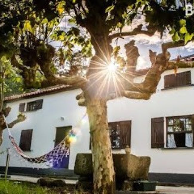 QUINTA DA ARAUCÁRIA