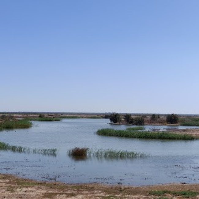TAPADA NACIONAL DE MAFRA