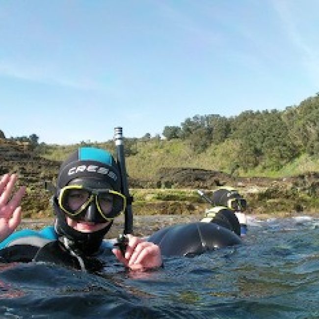 AZORES ISLANDS DIVE CENTER AZORES SUB