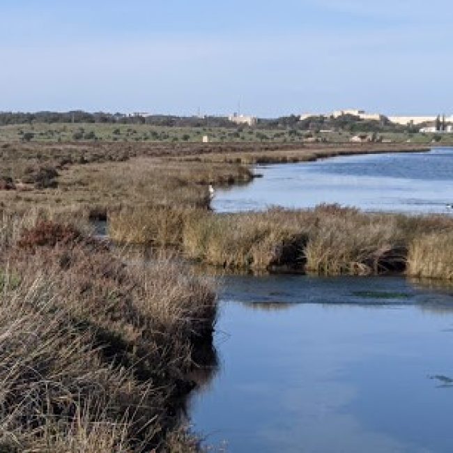 CASTRO MARIM AND VILA REAL DE SANTO ANTÓNIO MARSH NATURAL RESERVE
