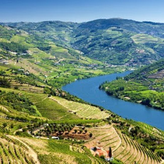 COOLTOUR OPORTO