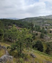 DIVERLANHOSO | PARQUE AVENTURA