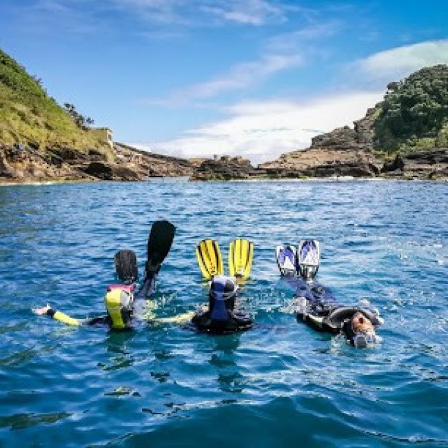 ESPÍRITO AZUL DIVE CENTER – DIVE IN AZORES ISLANDS