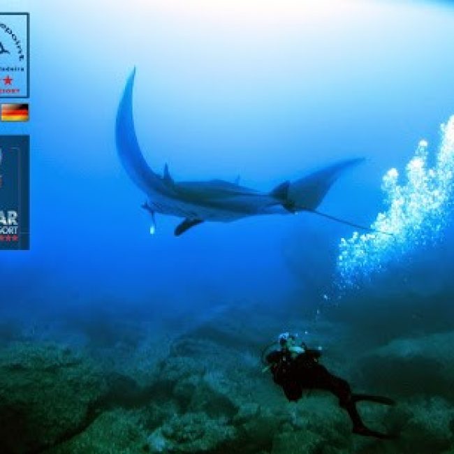 MADEIRA DIVEPOINT