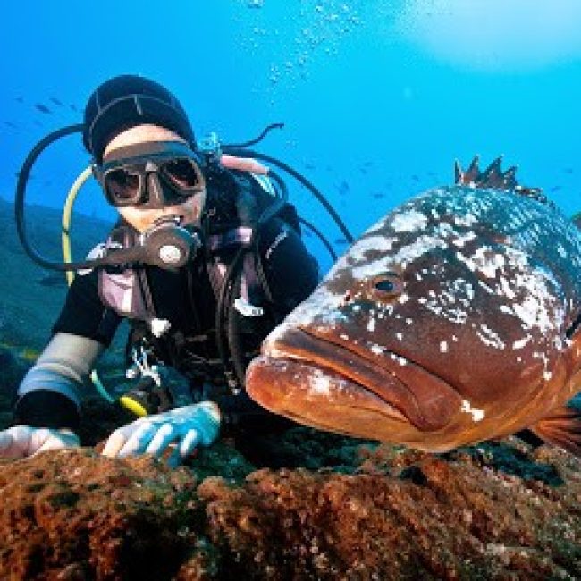 MADEIRA DIVING CENTER