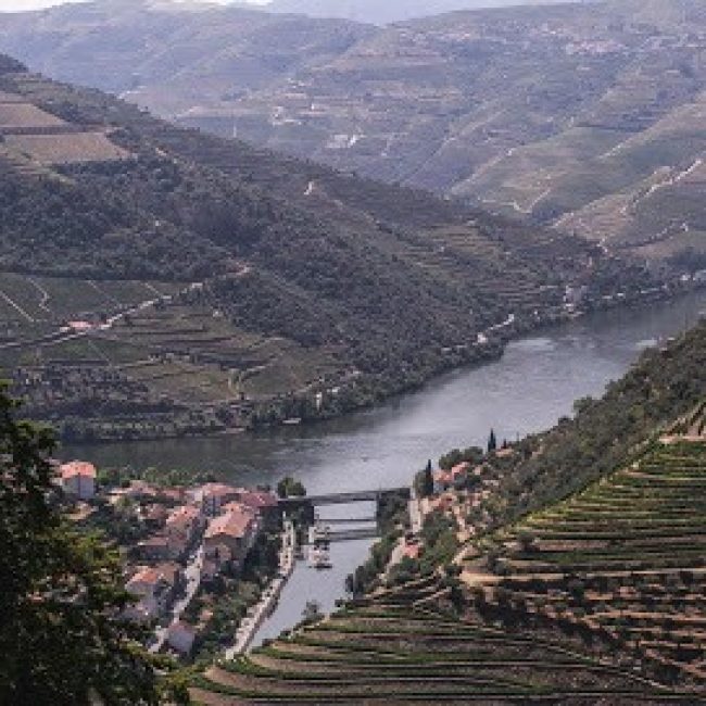 MANDALA TRAVEL PORTUGAL – TOURS AND TRANSFERS – PORTO