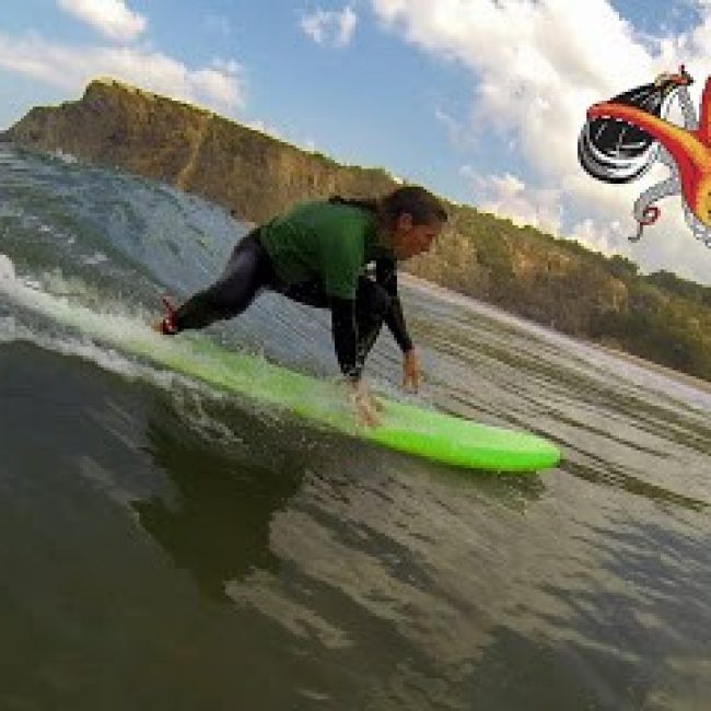 ODECEIXE SURF SCHOOL