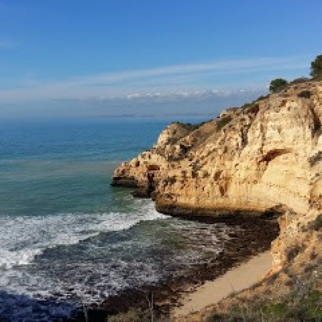 PARAISO BAR – ACTIVITIES HOTELEIRAS LDA