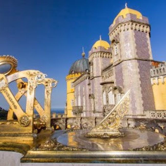 PARK FIGUEIRA DA FOZ ADVENTURE