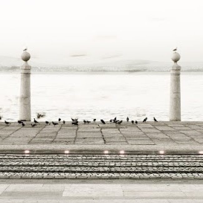 PICOTO PARK