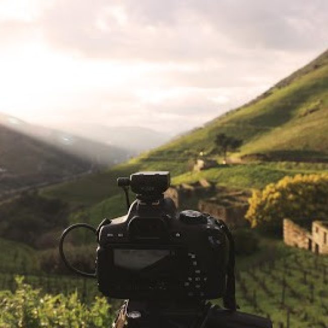 QUINTA DOS MURÇAS, ESPORÃO